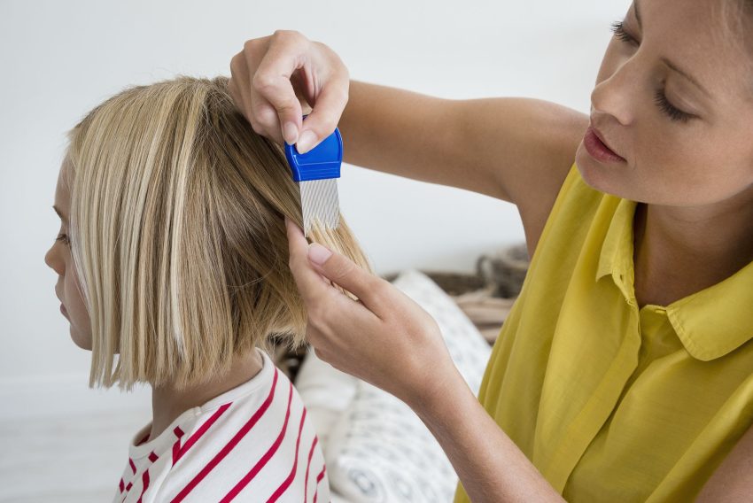 Lice Treatment - Here is What You Should Know Beforehand